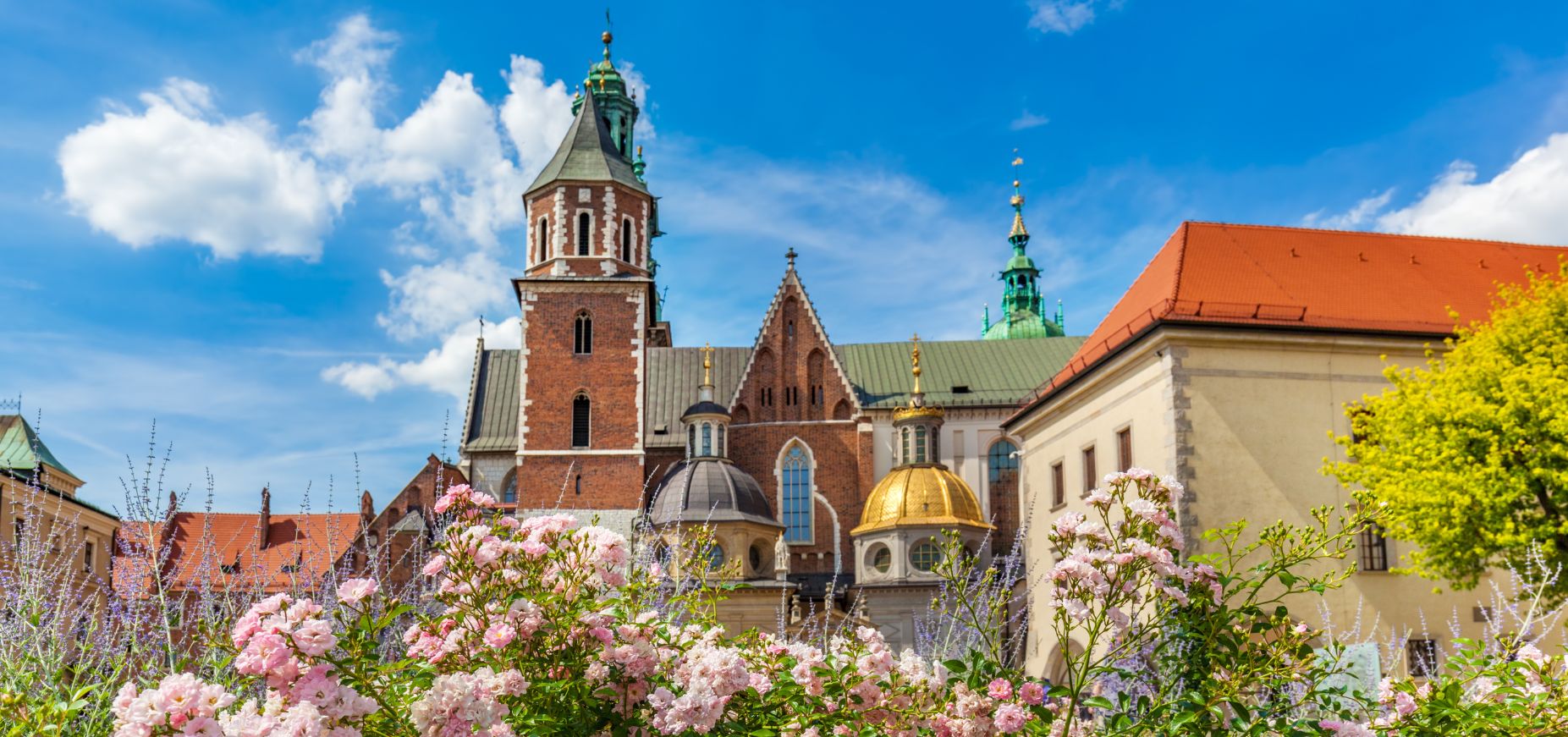 Systemy ERP Kraków